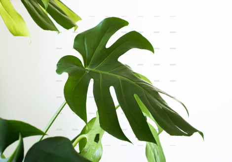 demo-attachment-658-ergita-sela-OFrc0b8ruts-unsplash-scaled